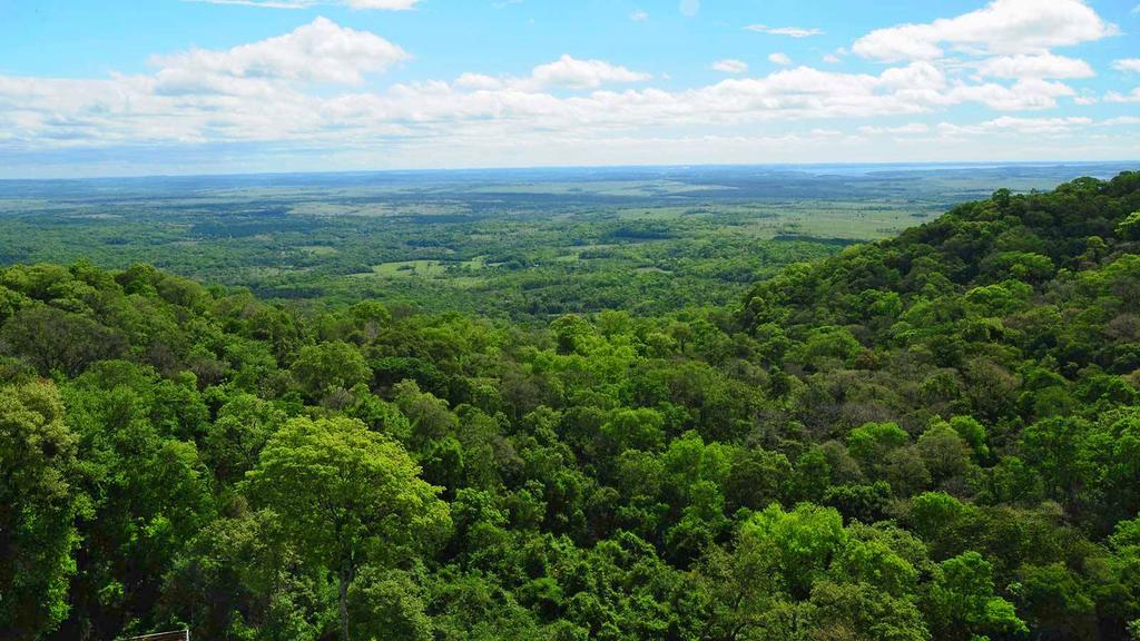 Posada Del Chaman Iguazu Пуэрто-Игуасу Экстерьер фото